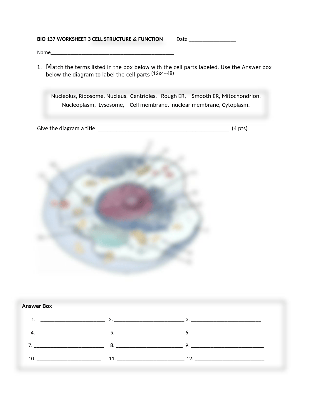 BIO 137 ws 3!.docx_dtnsoloigs5_page1