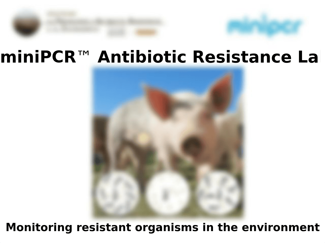 miniPCR-PARE-Antibiotic-Resistance-Lab_Powerpoint_v1.0.pptx_dtnz68v6ahn_page1