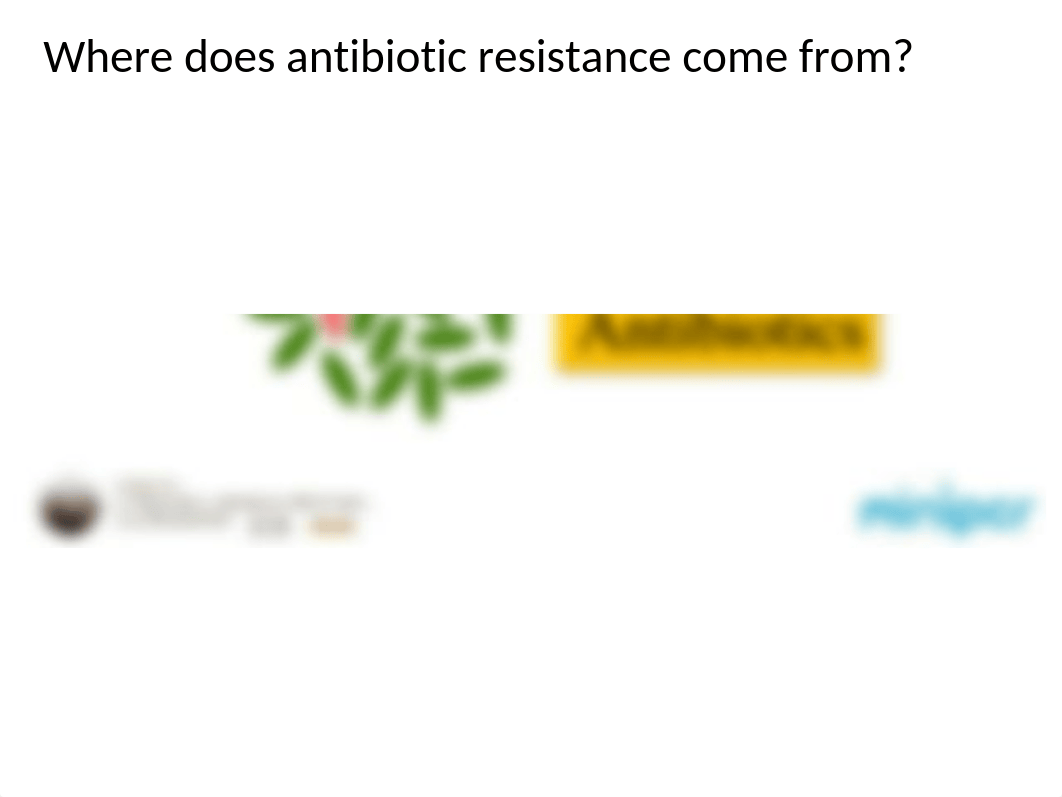 miniPCR-PARE-Antibiotic-Resistance-Lab_Powerpoint_v1.0.pptx_dtnz68v6ahn_page5