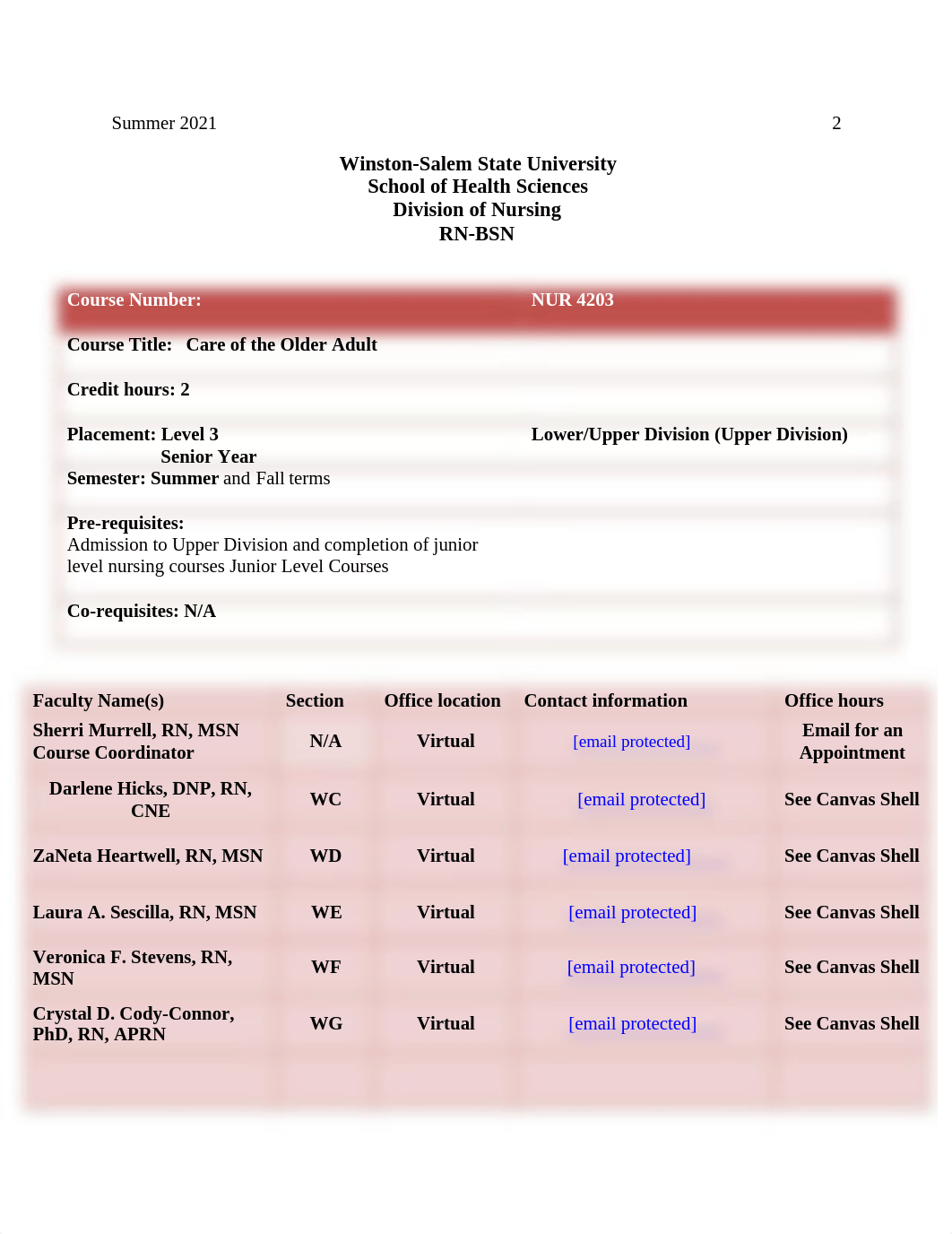 NUR 4203 Syllabus-Summer 2021.pdf_dtnzh275a4m_page2