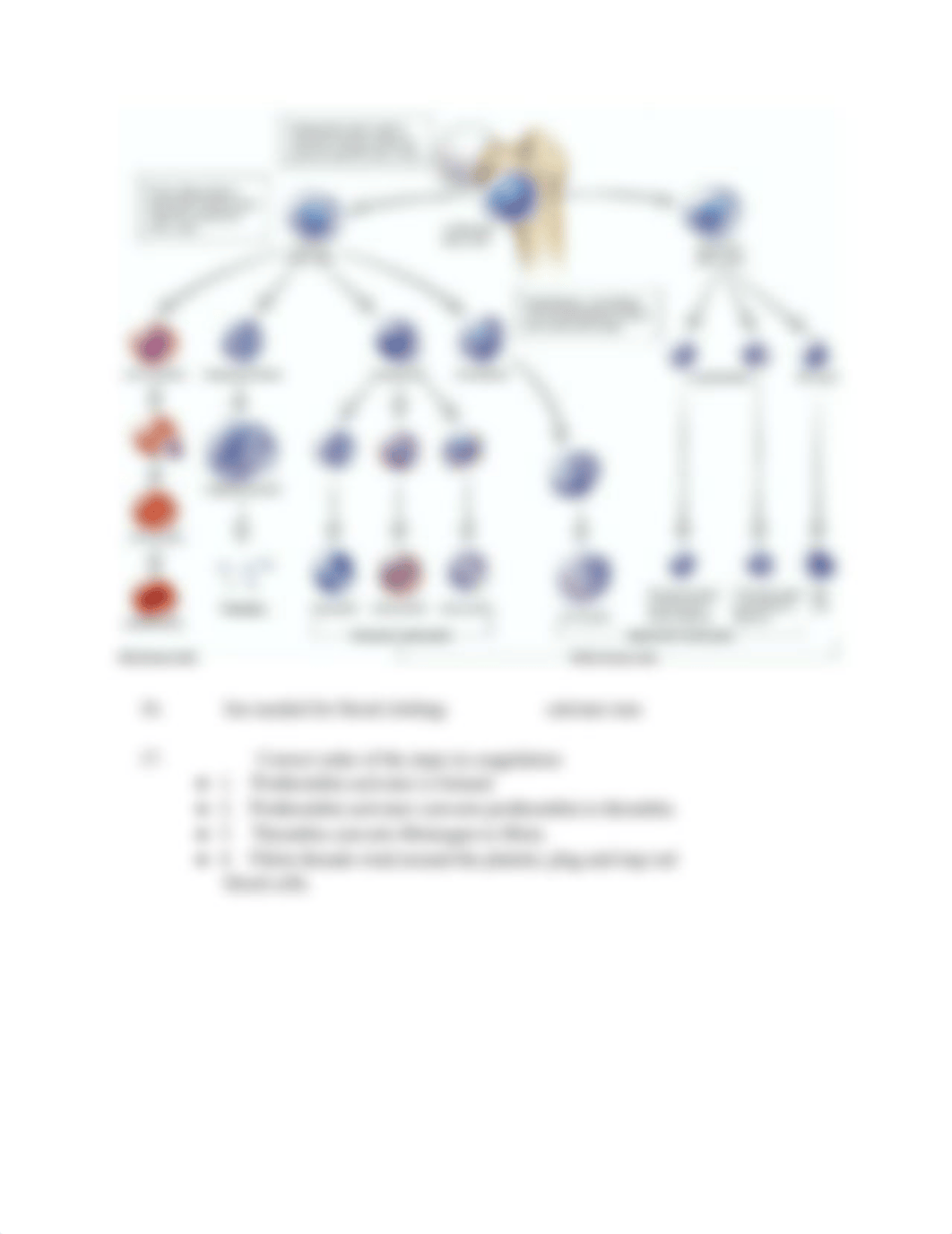 _Exam 4_.docx_dto8ycvrsi8_page5