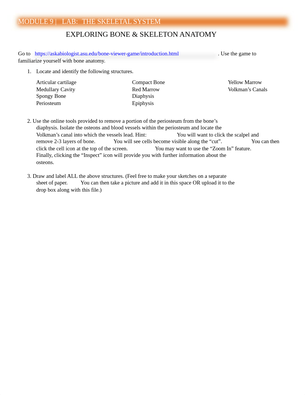 MODULE 9 Lab Exploring the Skeletal System.docx_dtoasdx26ka_page1