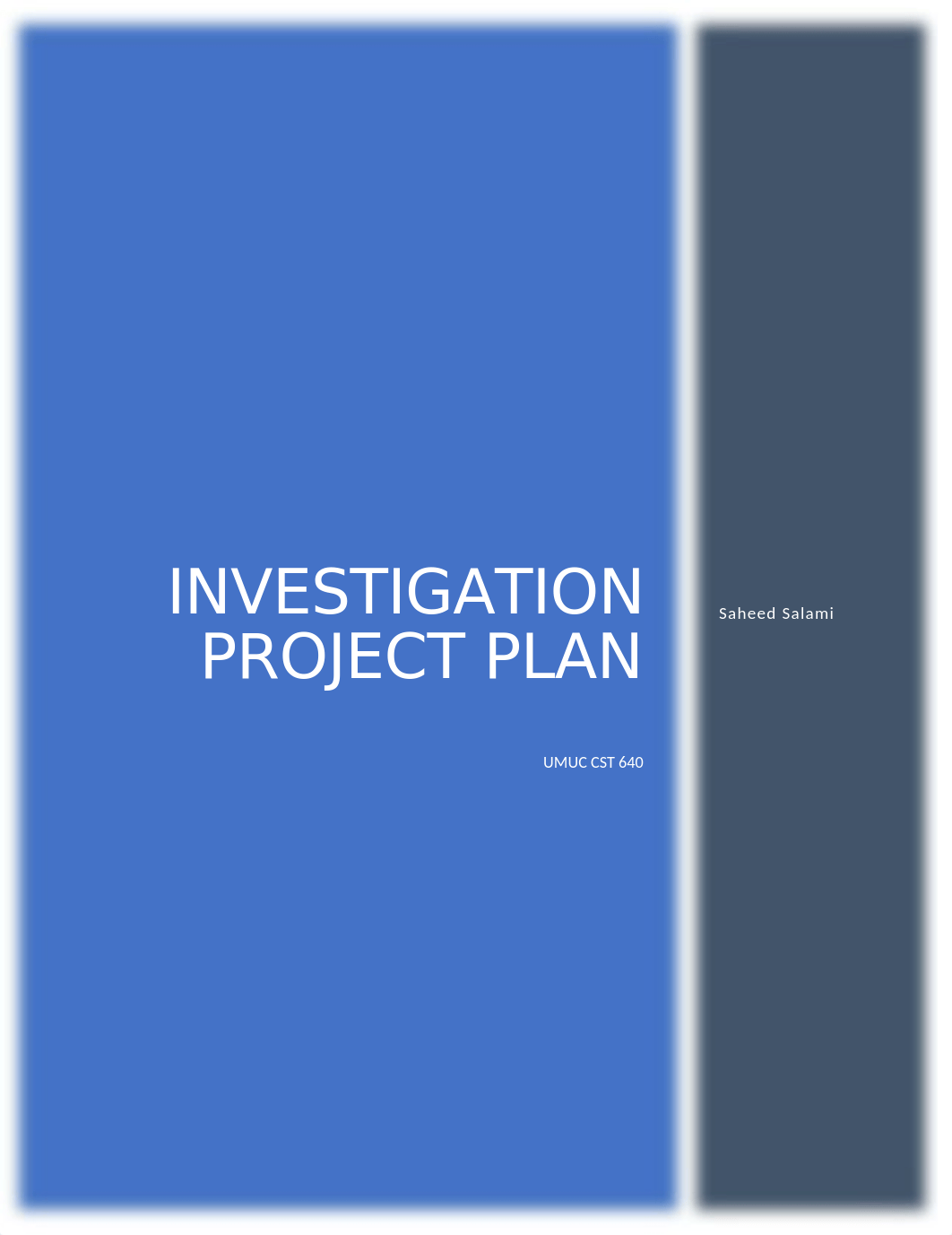 INVESTIGATIVE PROJECT PLAN.docx_dtobrsg8rkx_page1