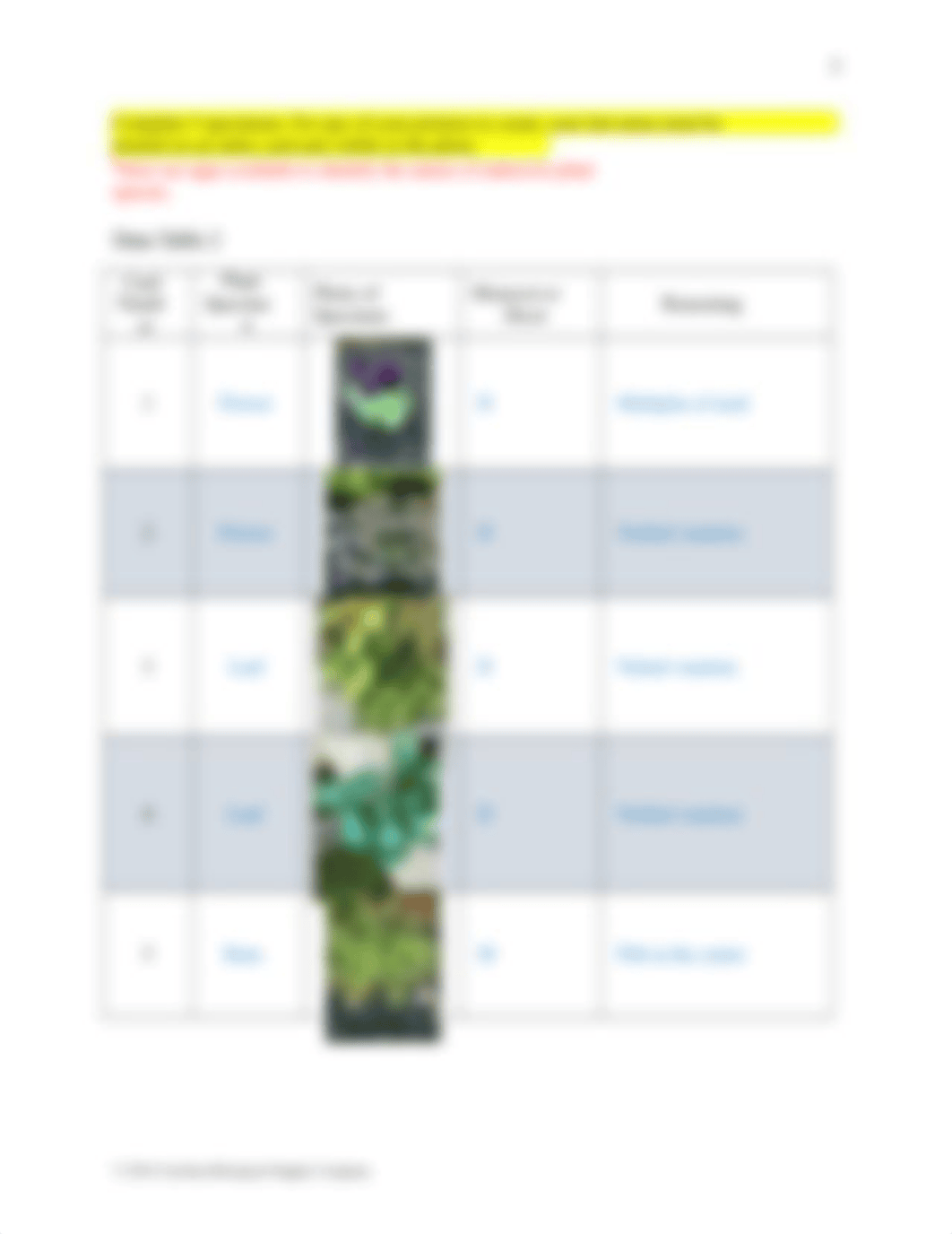 580160 Plant Histology with Study Cards Q MODIFIED.docx_dtoggmilxl4_page4