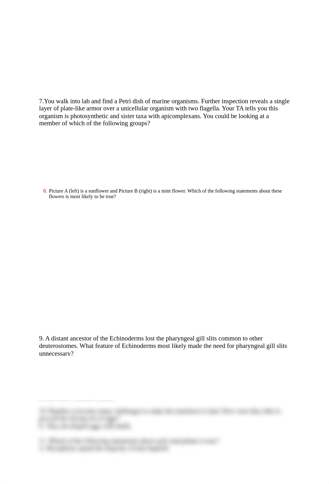 Practice Diversity Exam 1.docx_dtok7jdx85s_page2