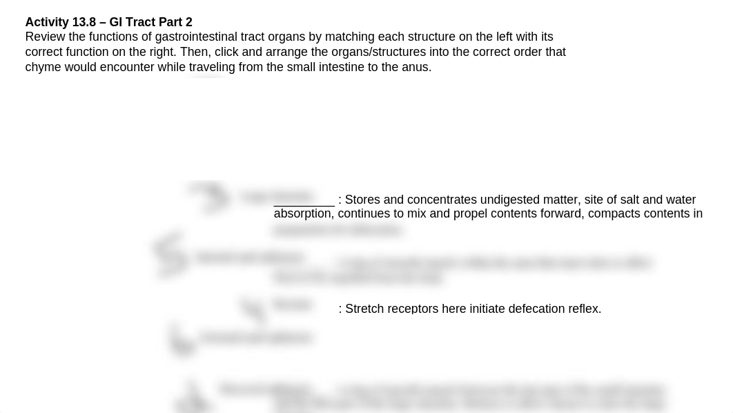 Activity 13.8 - GI Tract Part 2 .pptx_dtolooorjsh_page1