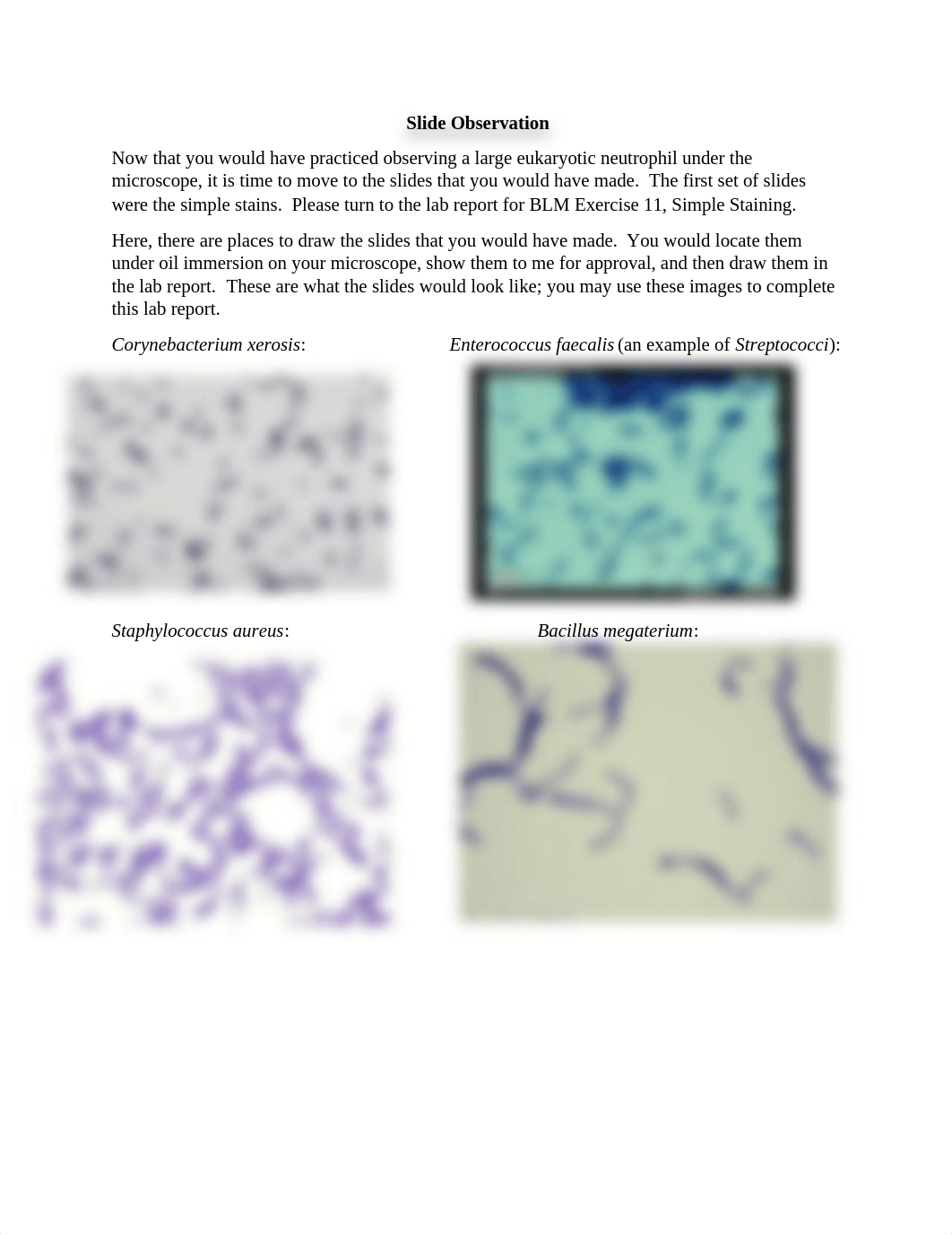 Slide Observation.pdf_dtomu146a9d_page1