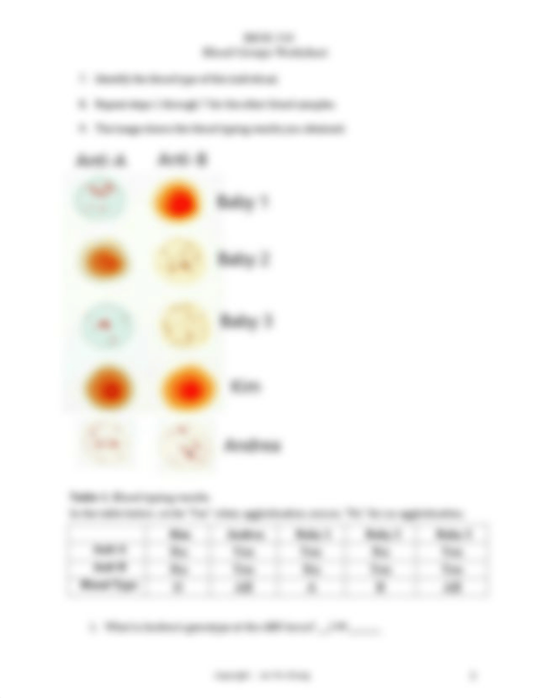 Blood Type lab.pdf_dtor0xrx3mv_page2