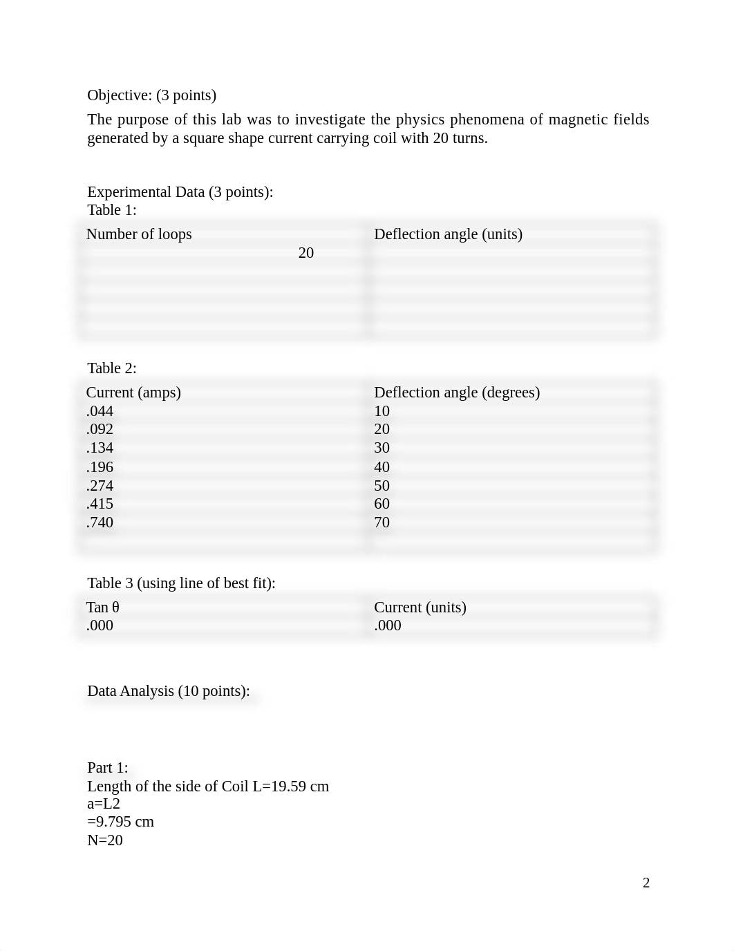 Mag fields template.doc_dtorkvghqcq_page2