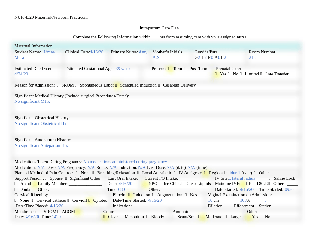 Amelia Care Plan.docx_dtosewe4z1p_page1