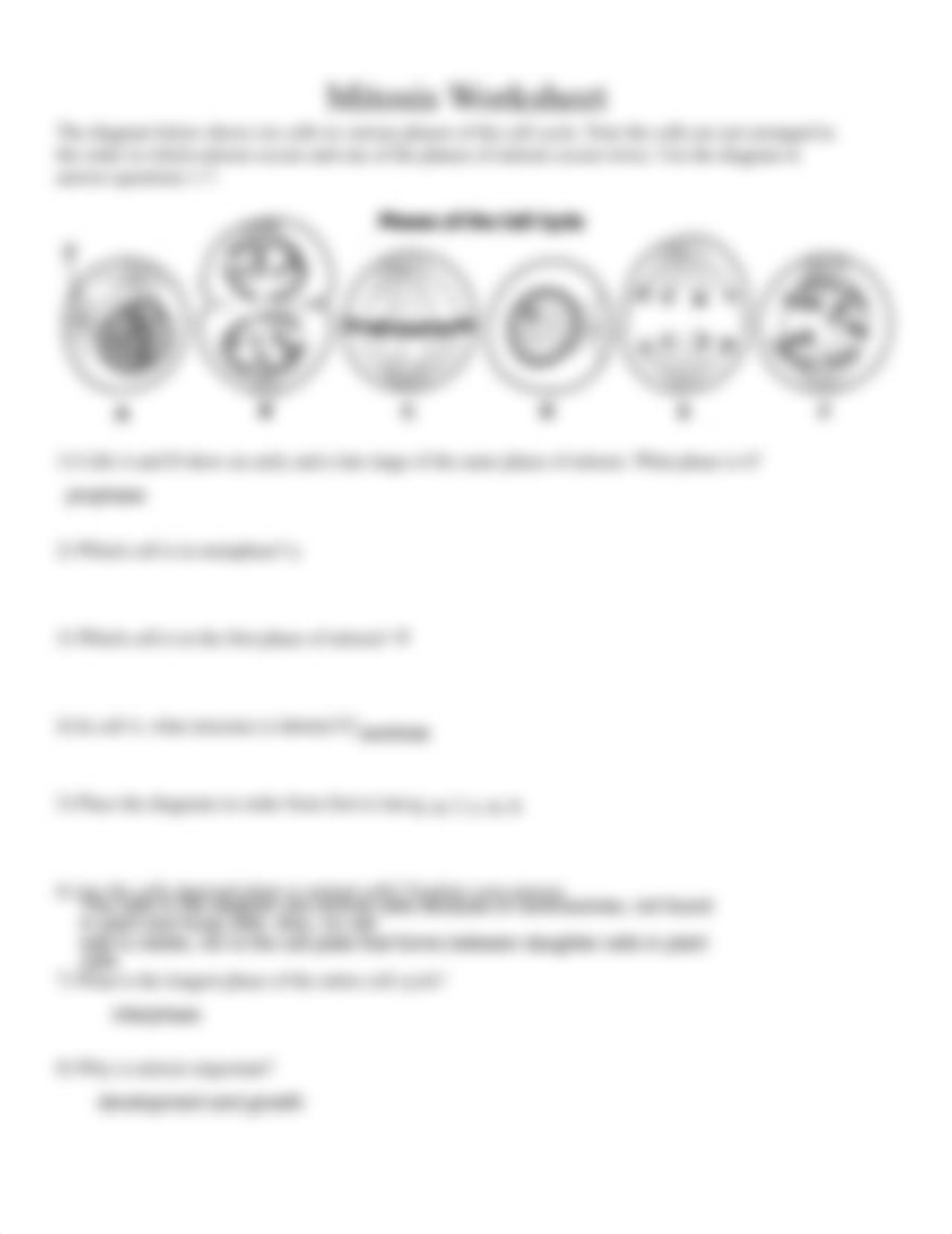 zeairra_-_mitosis_worksheet_2.pdf_dtouqfmm9ka_page2