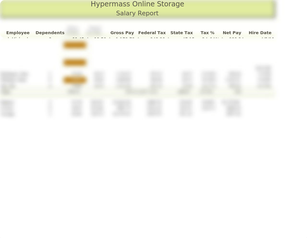 HyperMass Online Storage Salary Report_dtowpglzxdi_page1