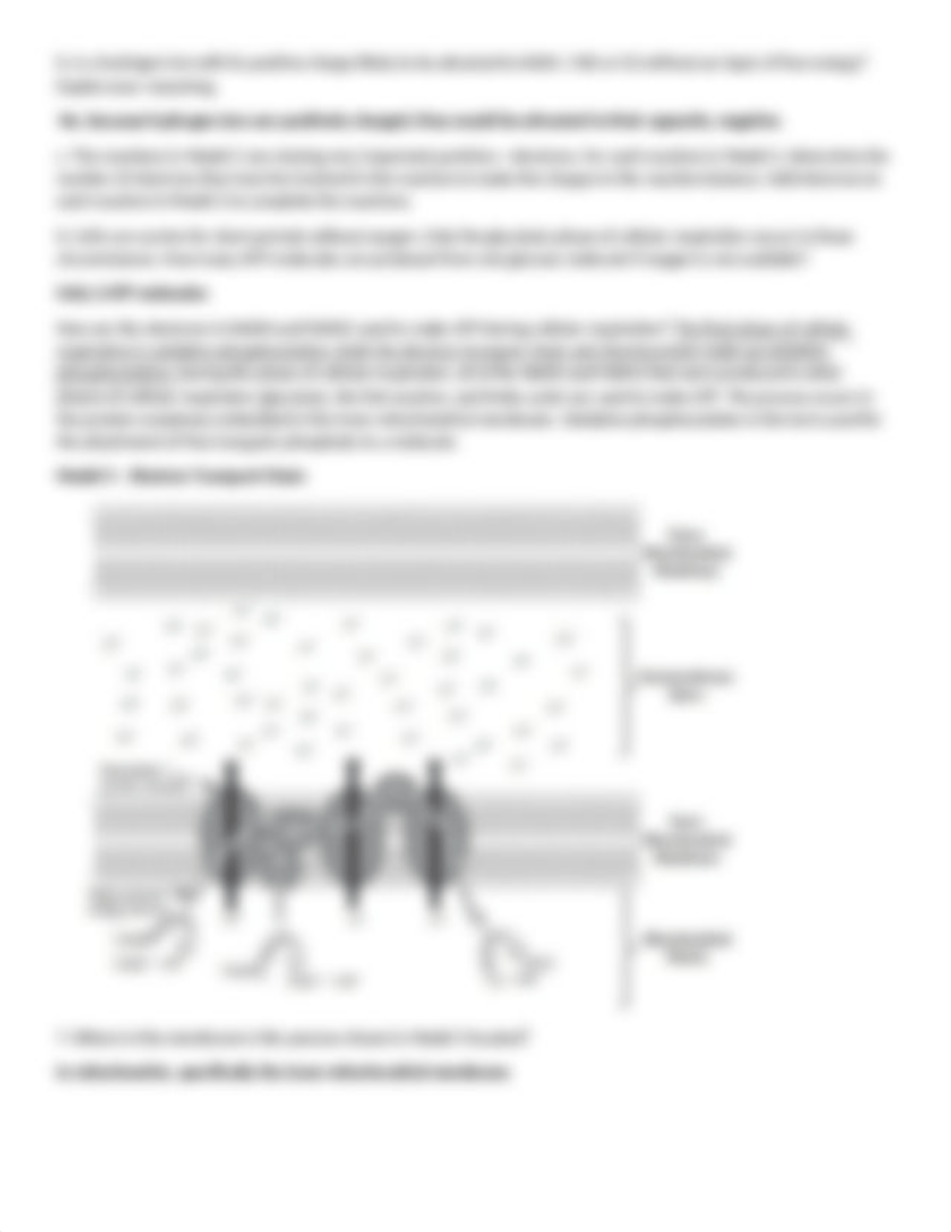 LA#13 Cellular Respiration 2 Oxidative Phosphorylation Fall 2019.docx_dtp5l72sihx_page3