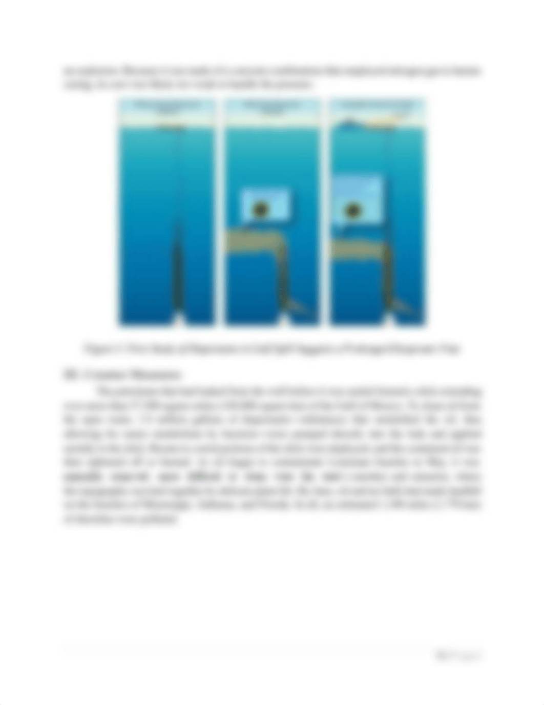 GENESIS_ECE21_T-ESET001_DEEPWATER-HORIZON (1).pdf_dtpt89izwy7_page5