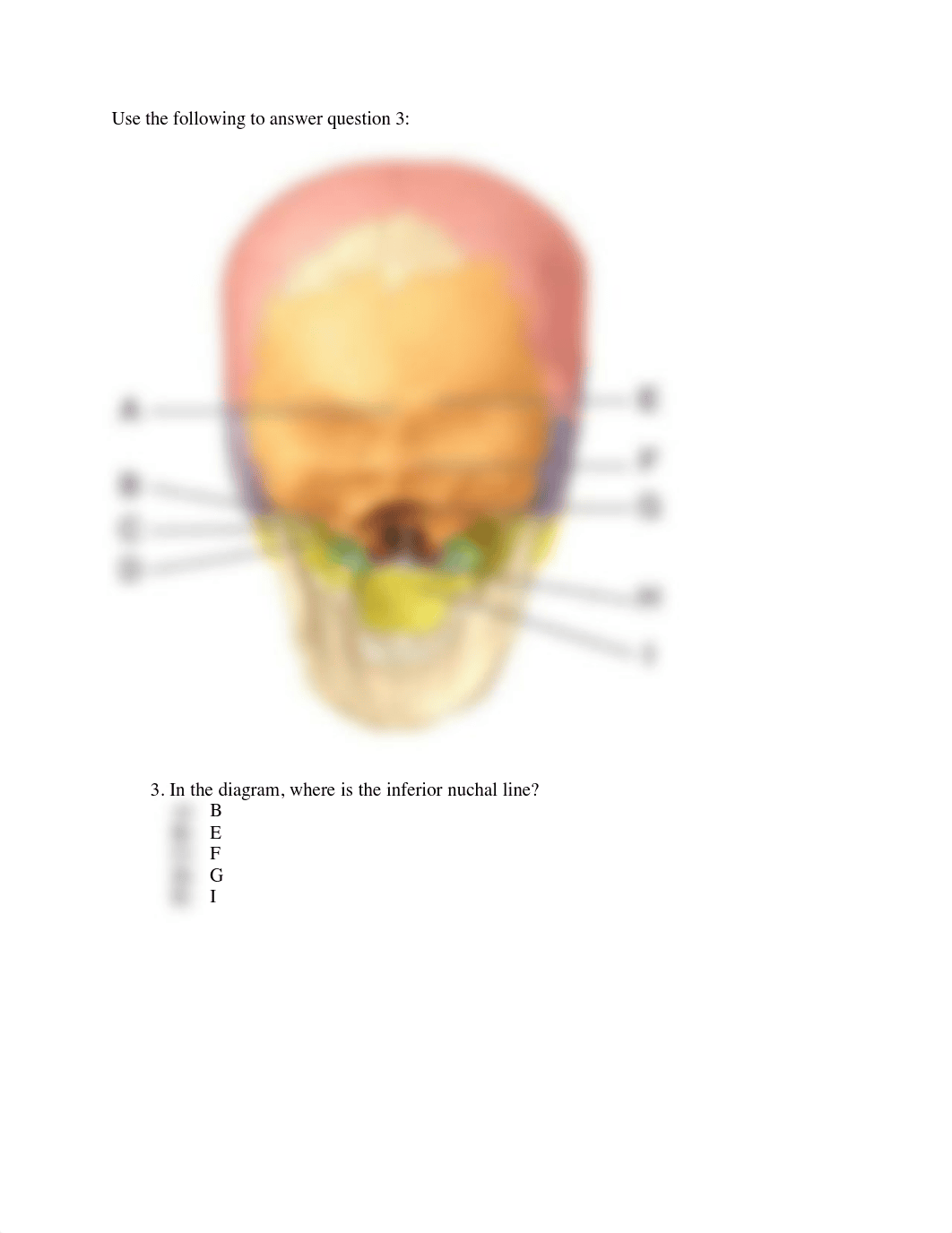 QB axial skeleton.pdf_dtpumd25smf_page2