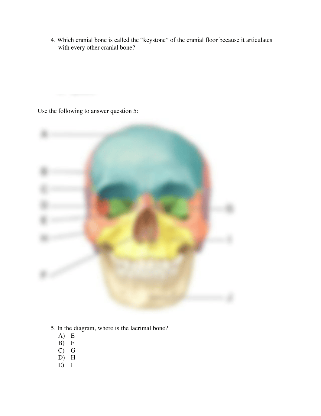 QB axial skeleton.pdf_dtpumd25smf_page3