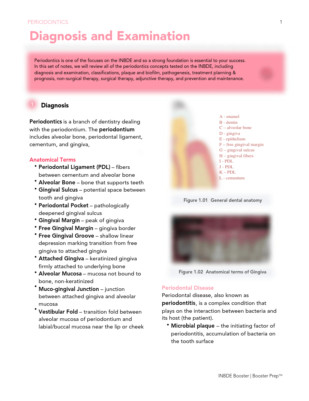 INBDEBooster Periodontics Notes.pdf_dtpw4l14oaw_page1