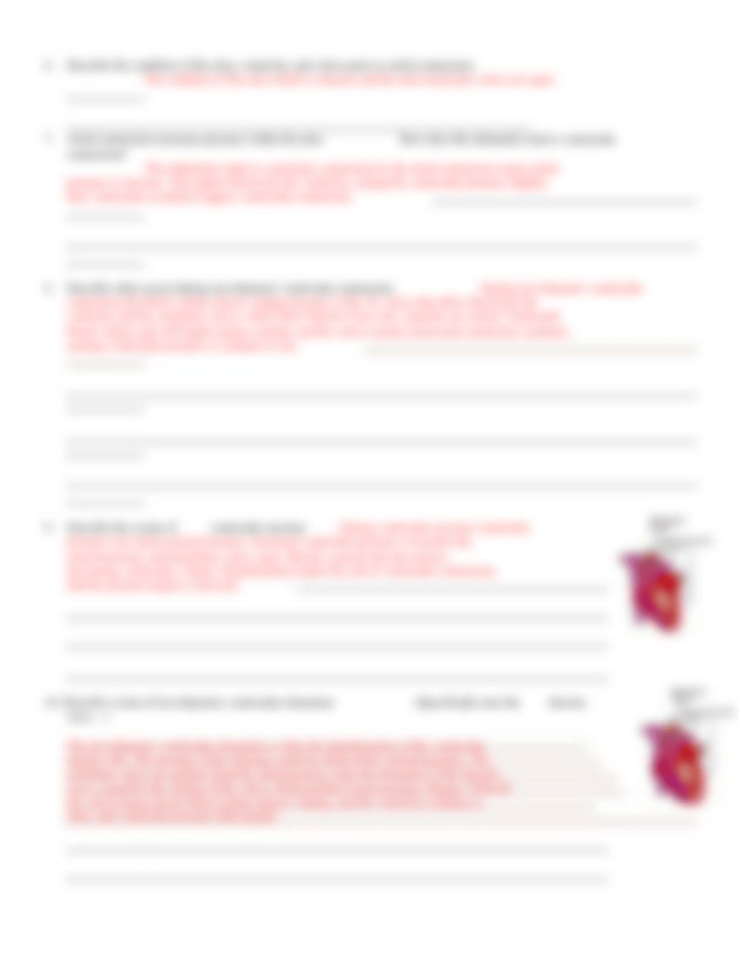 ch. 20 Animation Worksheet Cardiac Cycle.docx_dtq8iikkdel_page2