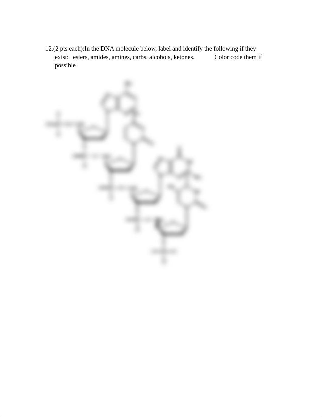 Chem 131 test 4 amines w2021.docx_dtqd4fzcmz7_page4