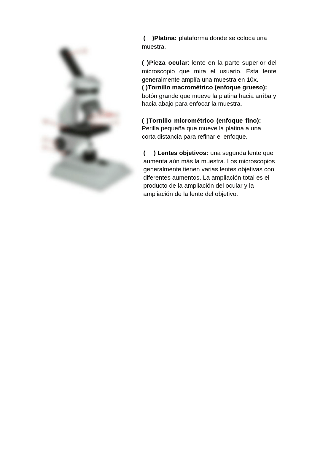 Gizmo Biologia.docx_dtqe5yq1c9q_page3