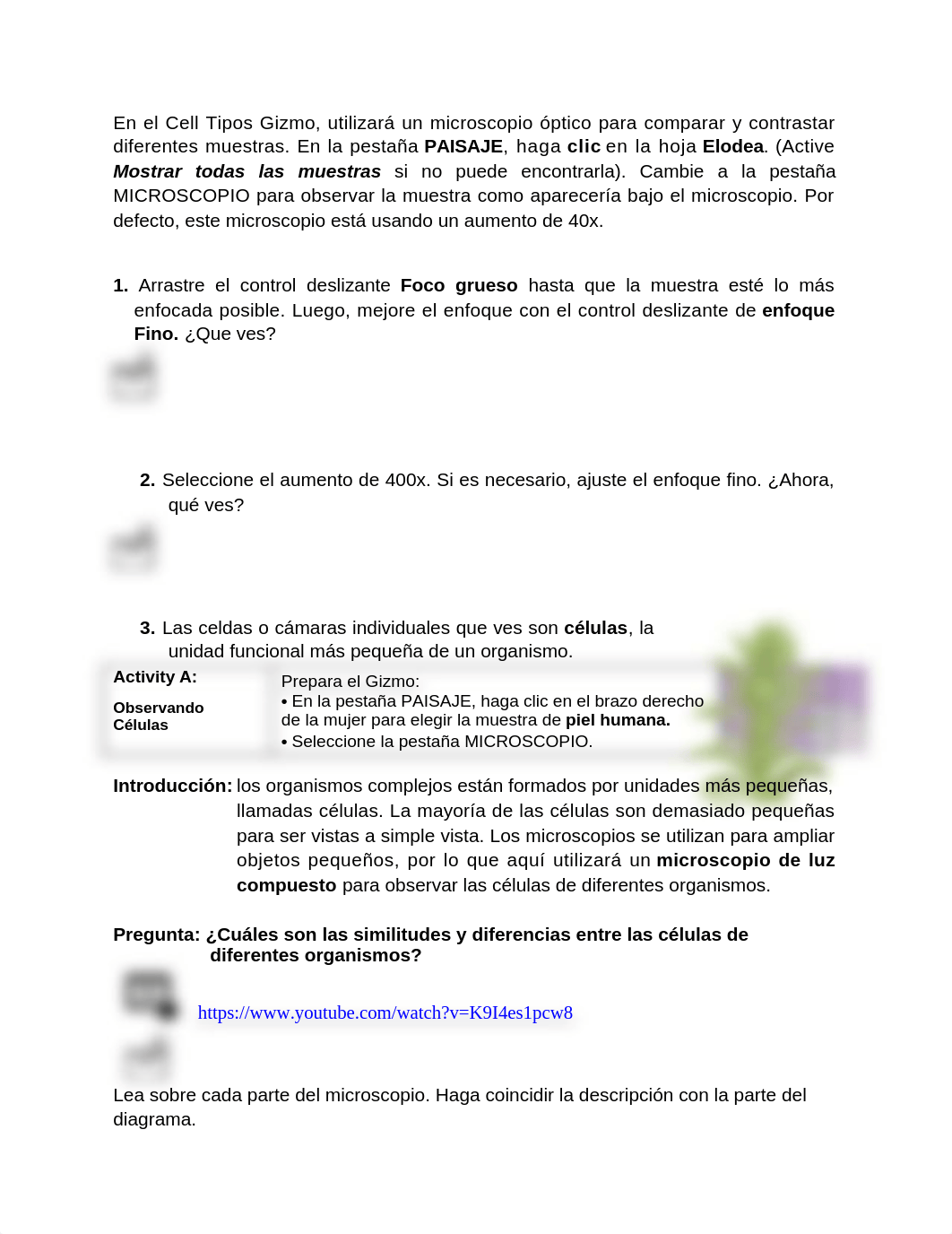 Gizmo Biologia.docx_dtqe5yq1c9q_page2