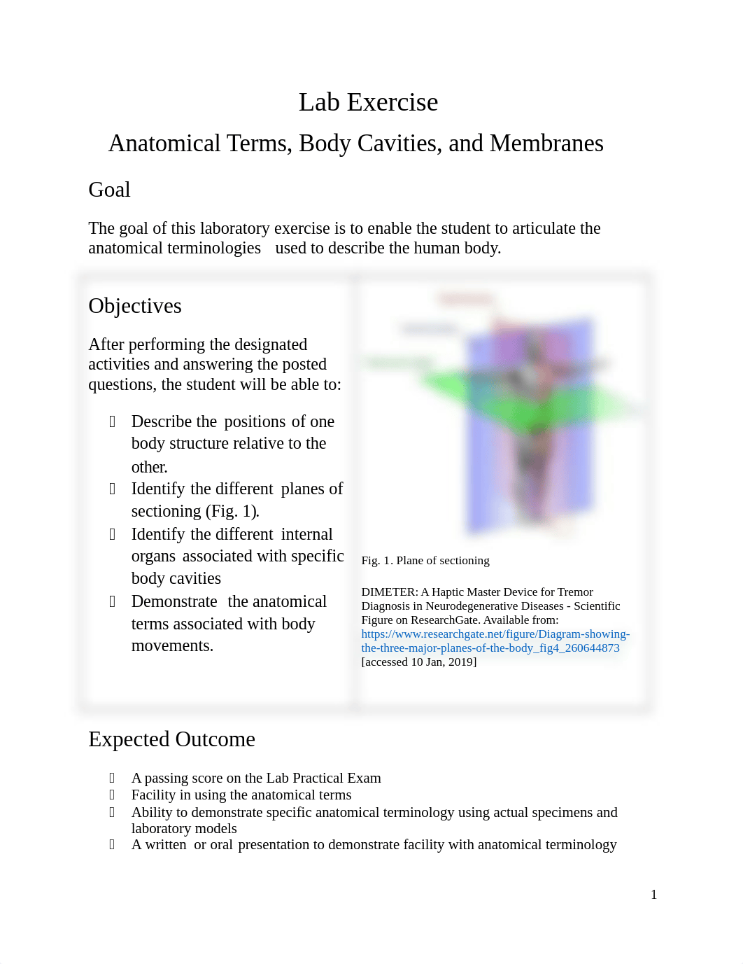 Lab 1. Anatomical Terms, Cavities, Membranes (2).docx_dtqr7j8fiw0_page1