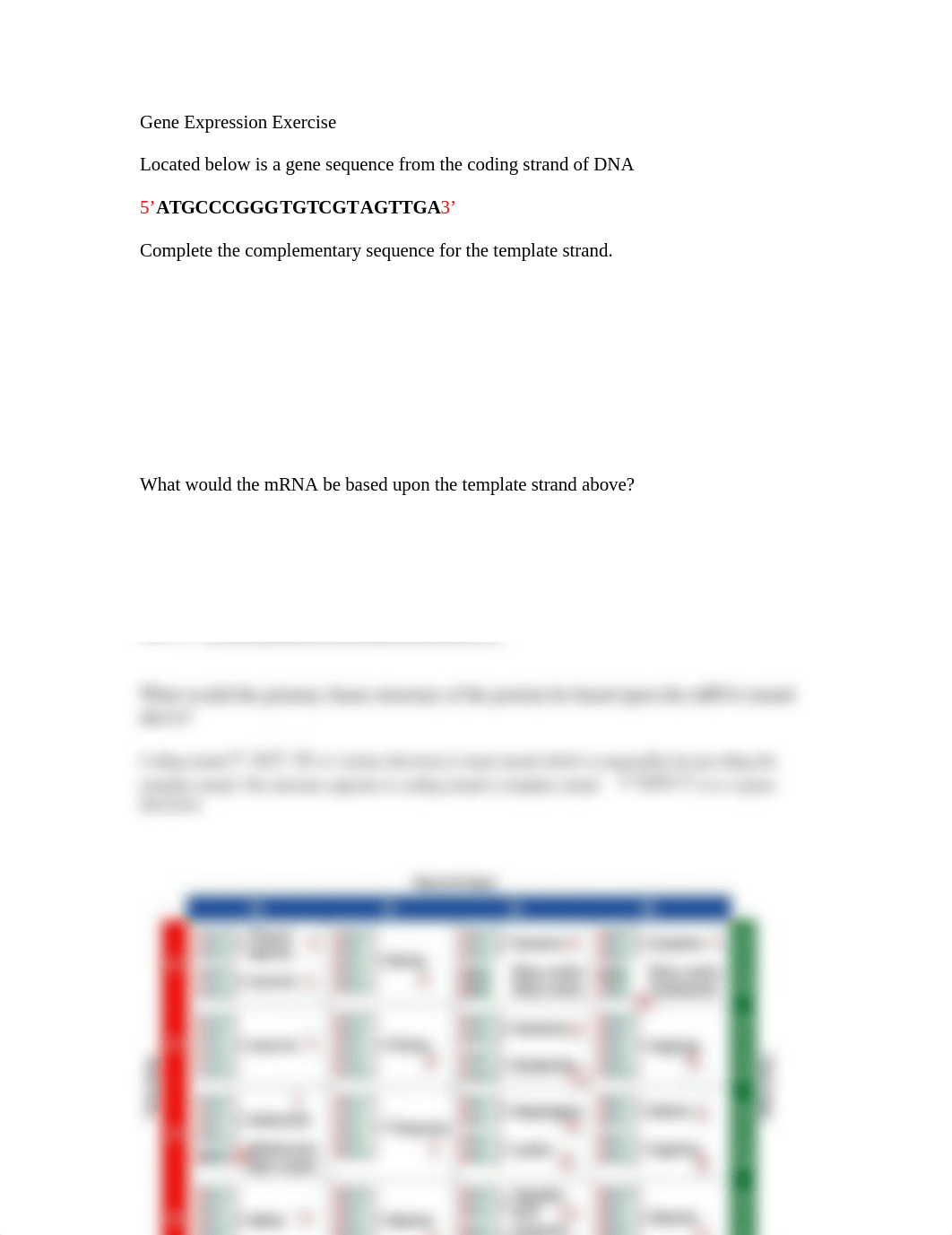 Protein Synthesis (Gene Expression) Exercise 2 (1).doc_dtqv7nrrk4w_page1