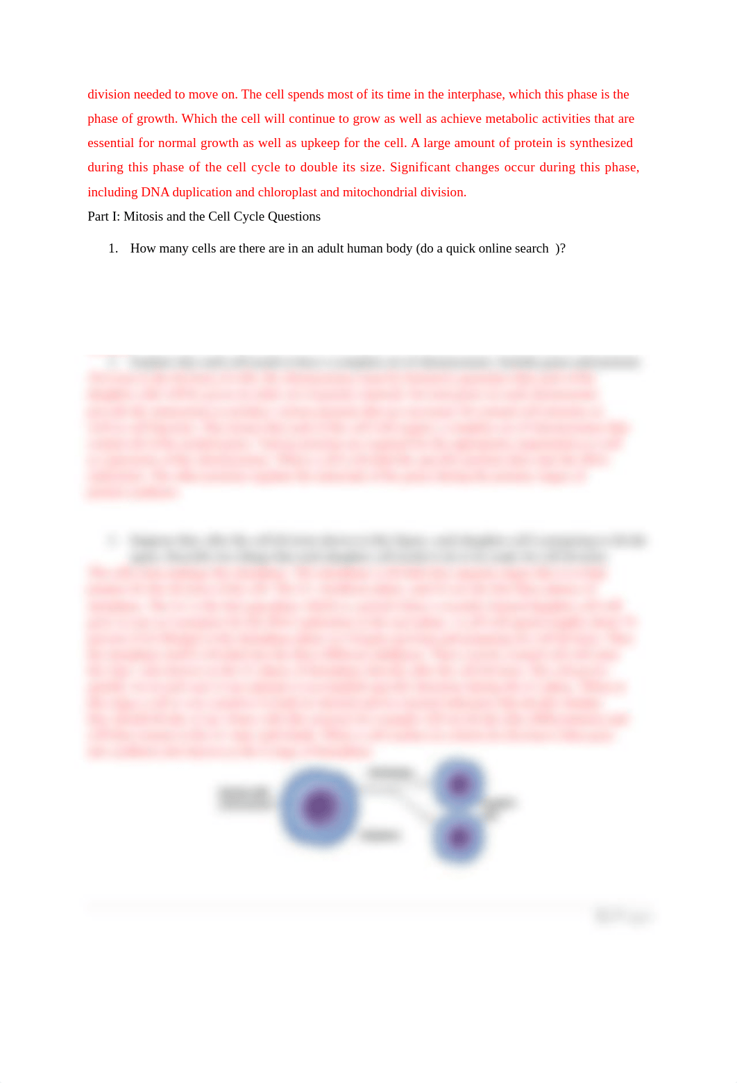 LA11-Cell Division Lab Assignment (1).docx_dtqwijoycoe_page2