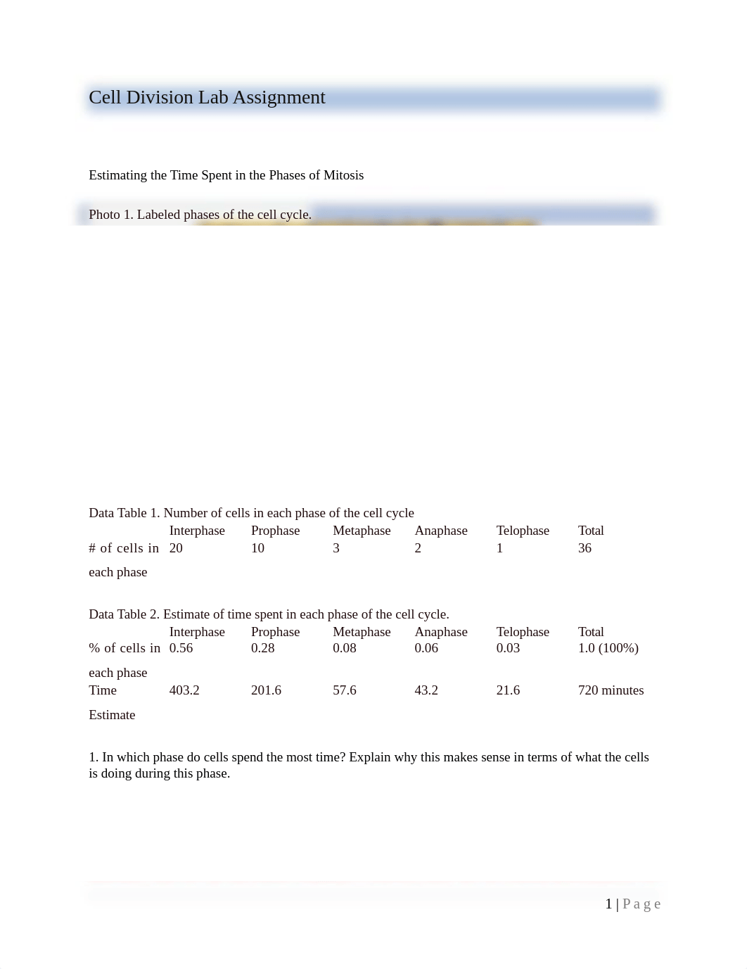 LA11-Cell Division Lab Assignment (1).docx_dtqwijoycoe_page1