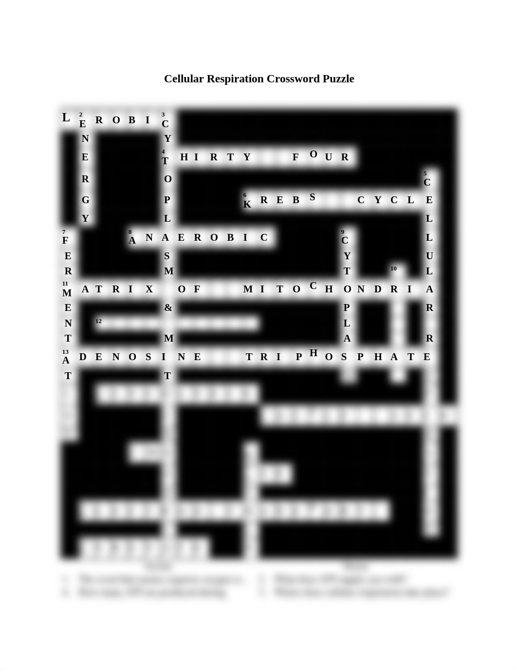 Cellular Respiration Crossword Puzzle (2).docx_dtqxrhak5cp_page1