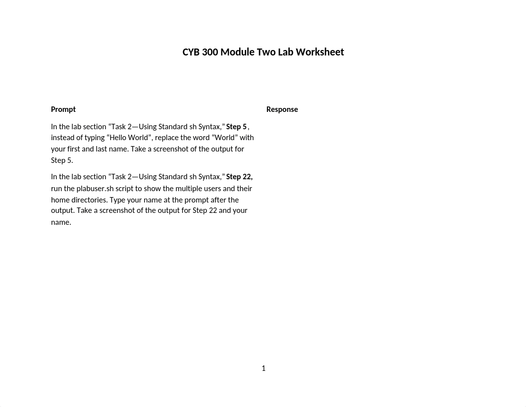 CYB_300_2-2_Lab_Worksheet_Customize_or_Write_Simple_Scripts_Alec_Bieling.docx_dtqyk0qkjt0_page1