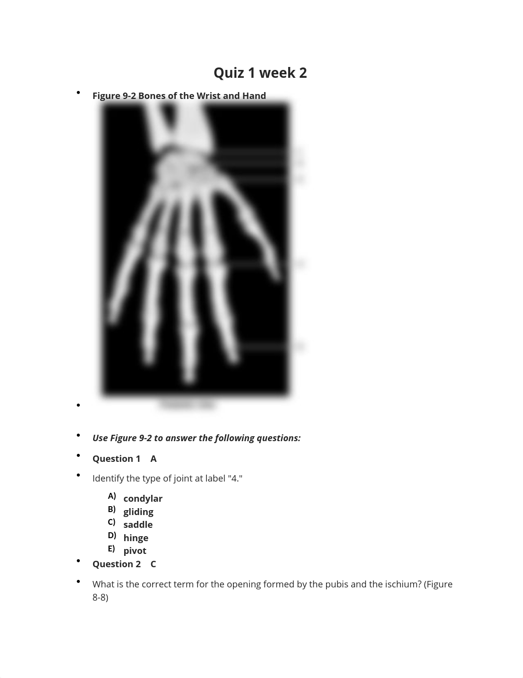 Quiz 1 week 2 Anatomy.docx_dtr81o163vo_page1