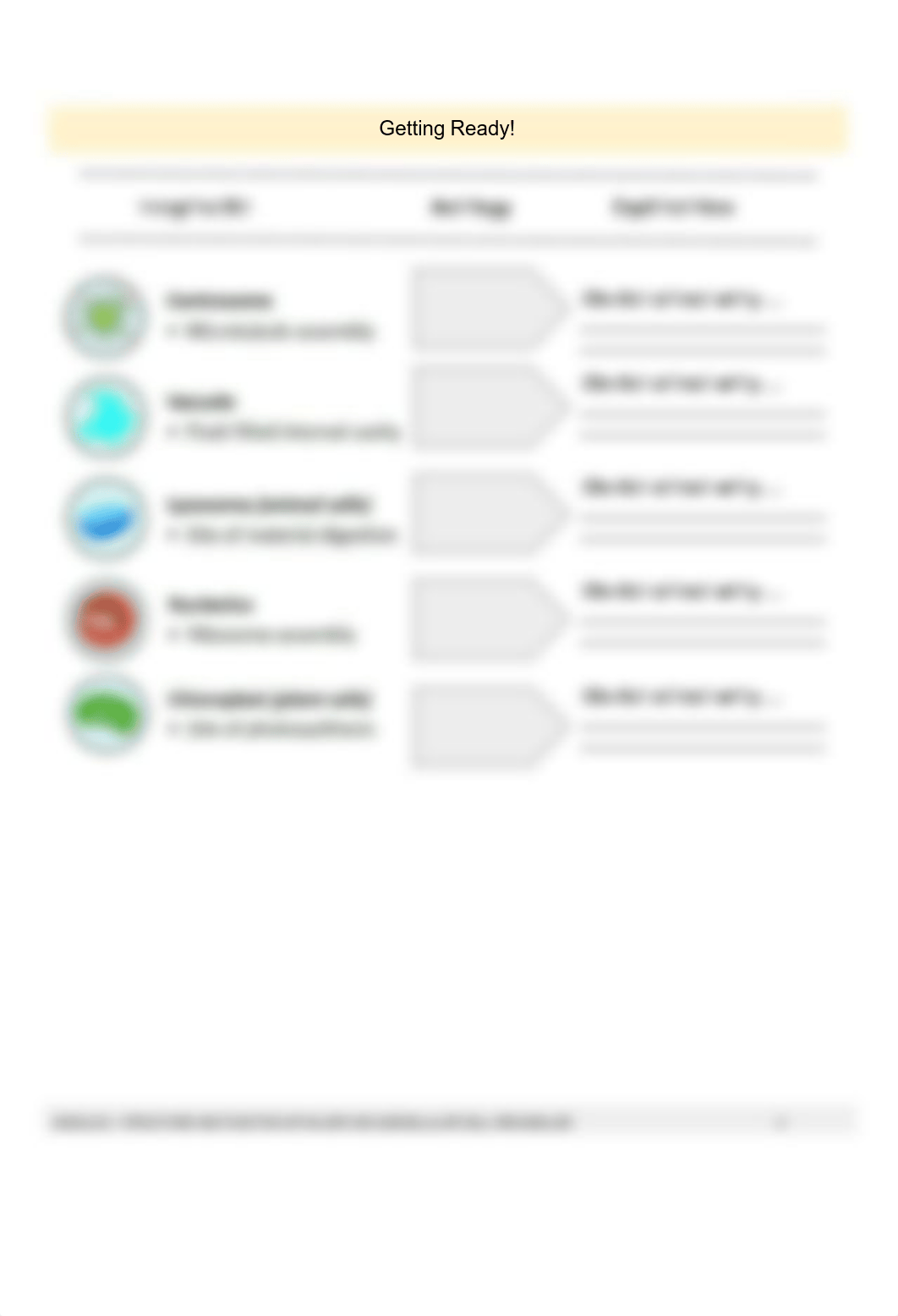 MODULE 2 - STRUCTURE AND FUNCTION OF MAJOR AND SUBCELLULAR CELL ORGANELLES - final.pdf_dtr8cm1vreh_page5