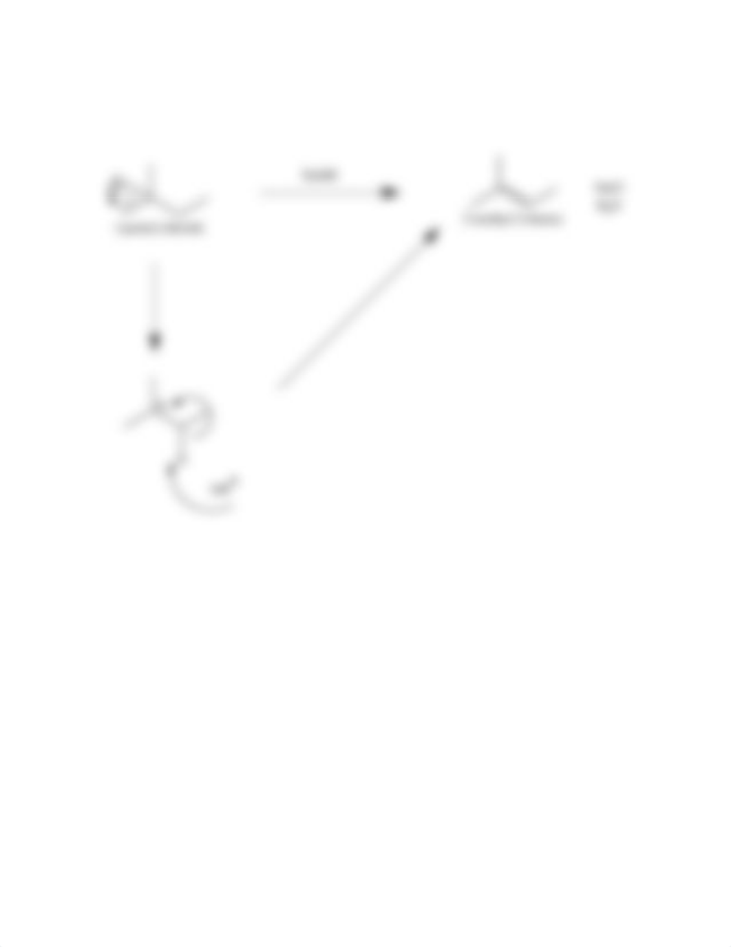 Experiment 23B - Synthesis of t-Pentyl Chloride_dtrhtcl6vdf_page3