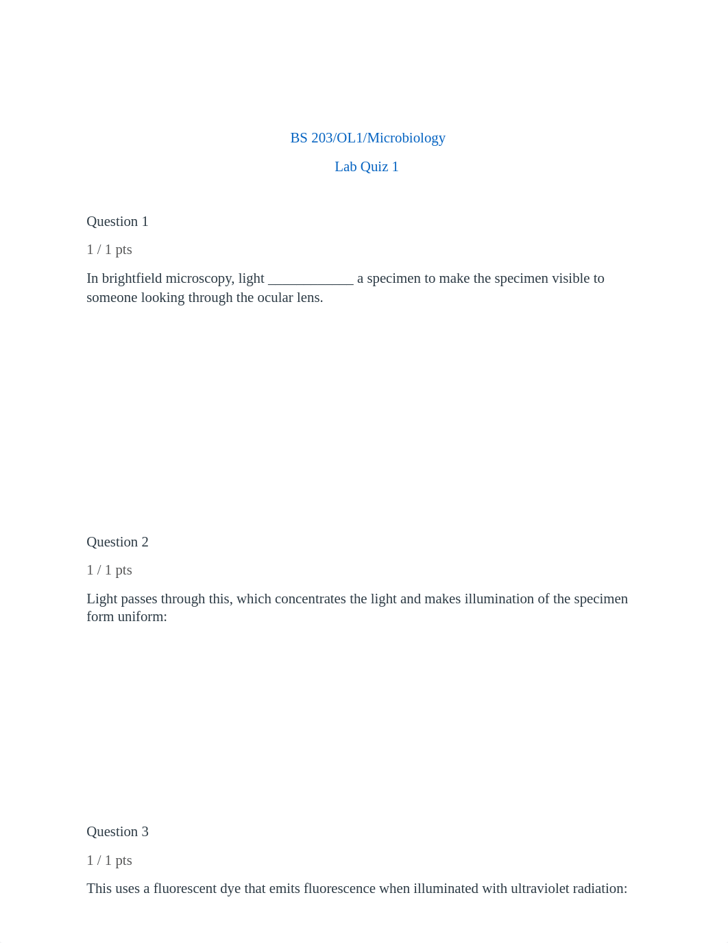 Lab Quiz 1.docx_dtrjdzguosm_page1