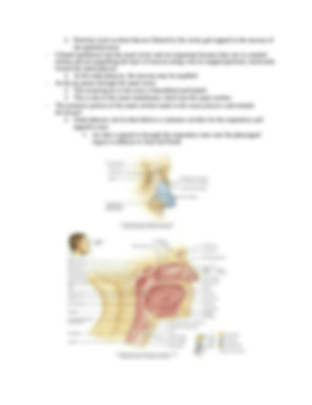 February 24 Lecture_dtrjsn1cu7b_page2