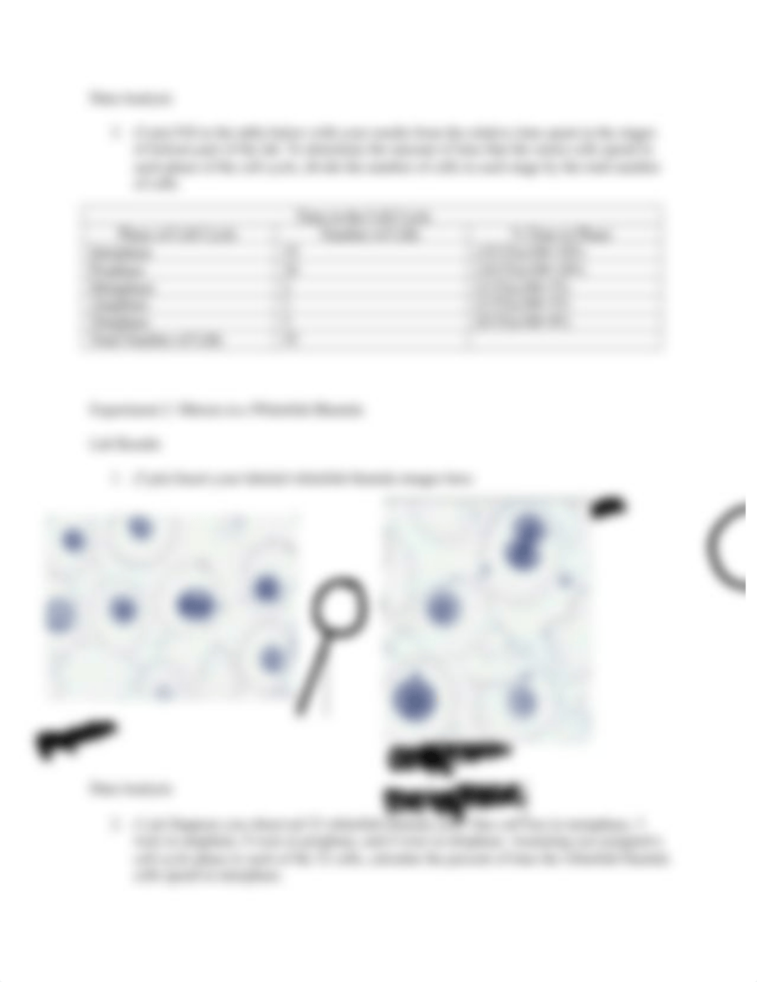 Kaelin Taylor-Baker. Mitosis and Meosis Lab. Module 5.docx_dtrw6i7x6wr_page2