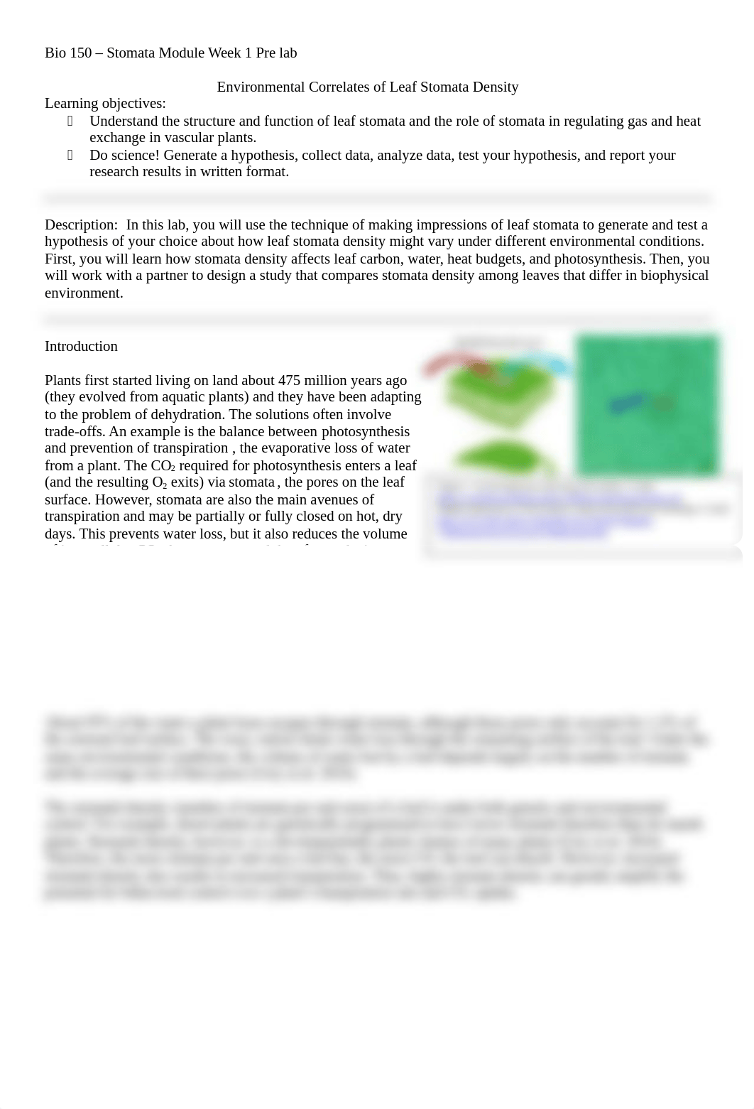 Pre lab stomata.docx_dtrxcfmdrig_page1