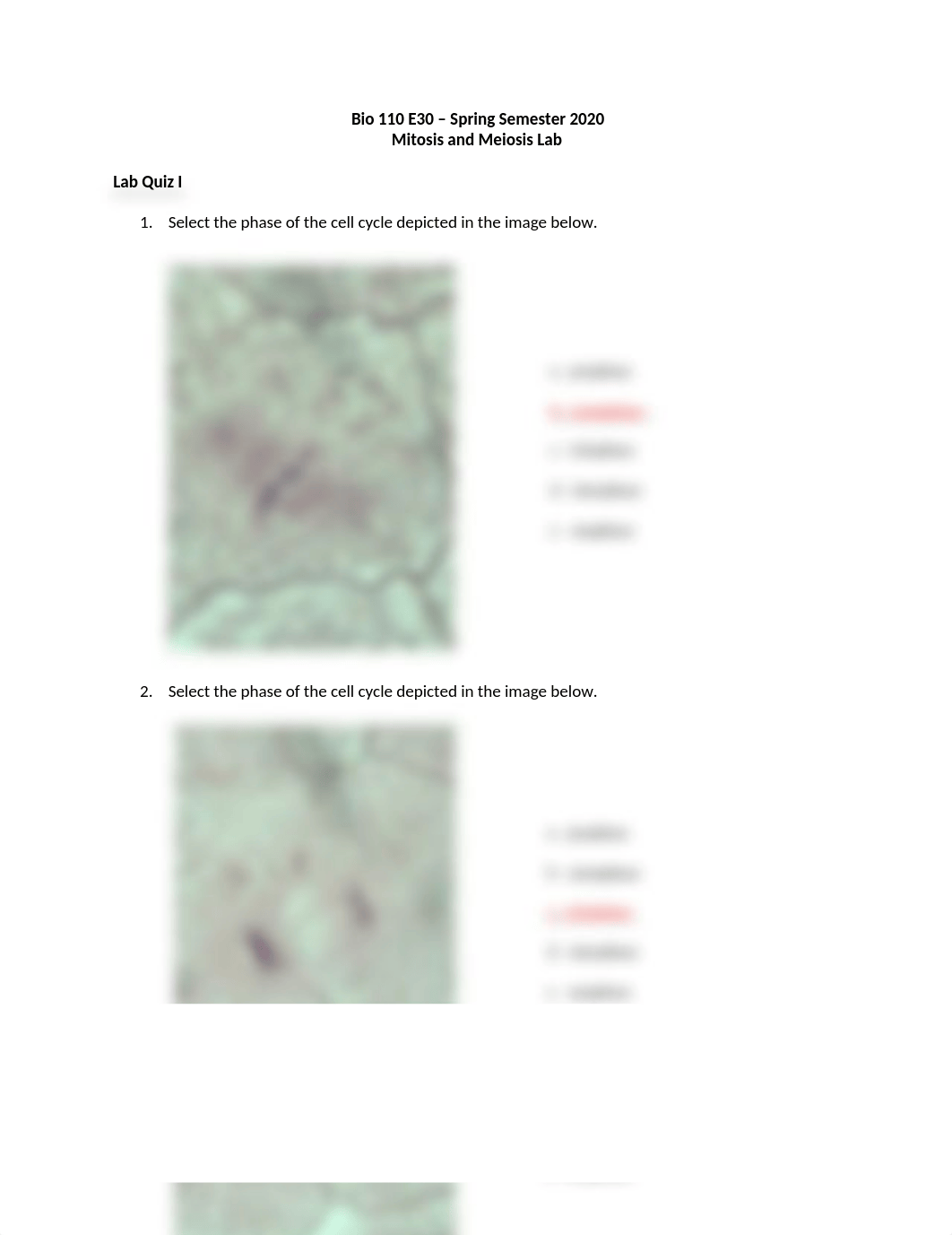 Bio  new 110 E30 Mitosis and Meiosis Virtual Lab SP2020.docx_dts4hk67w1u_page1