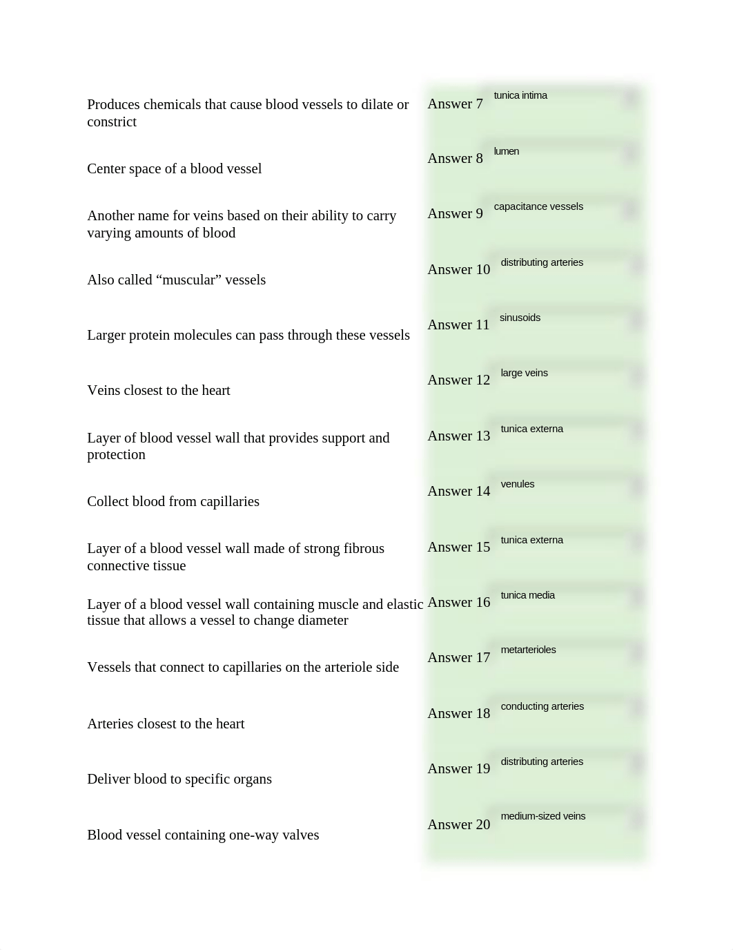 AMP QUIZ 3.docx_dtsmkb44iqt_page3