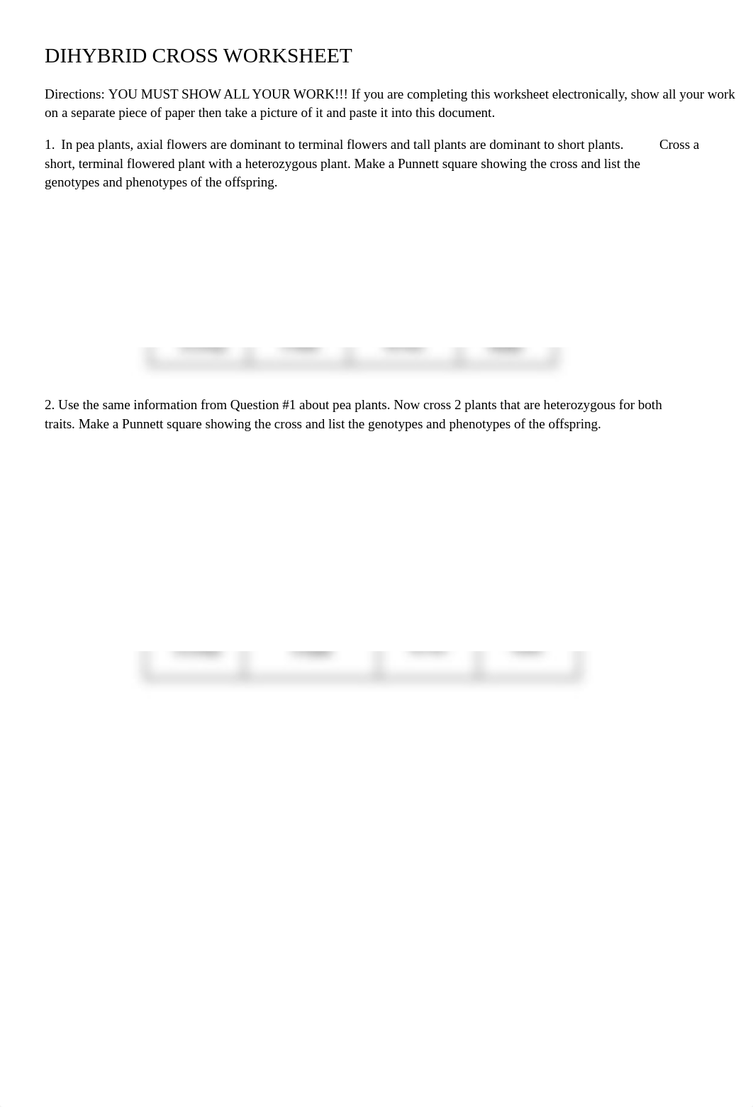 GABRIELLE ZOLNIERCZYK - DIHYBRID CROSS WORKSHEET (2).pdf_dtsn813oyfe_page1