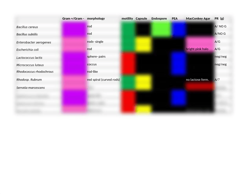 BACTERIA CHART_dtsor26j9ih_page1