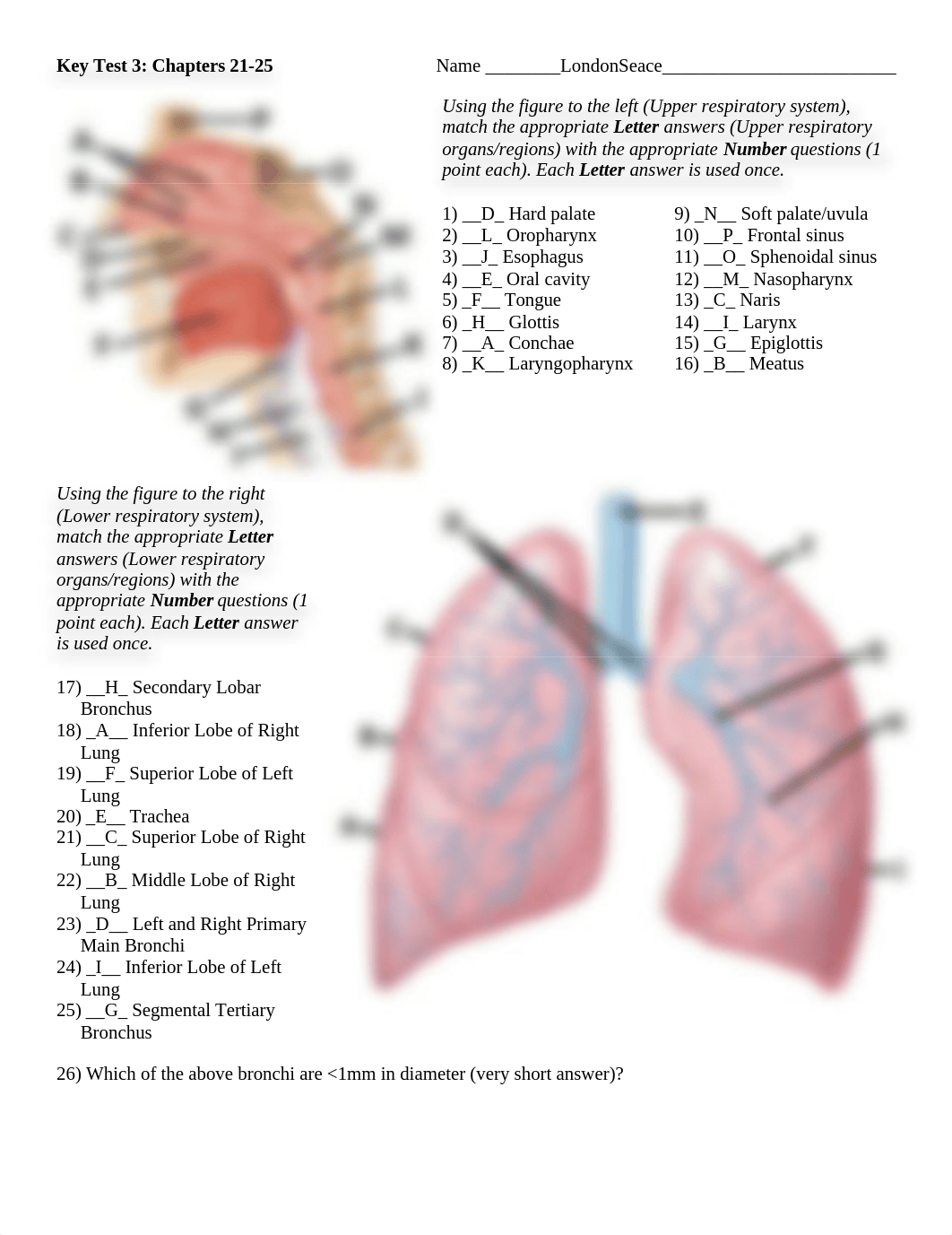 Test 3 Covid.docx_dtsvsuc45jl_page1