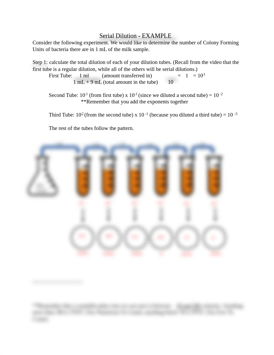 Serial+Dilution+Example.pdf_dtsx4fdixcd_page1