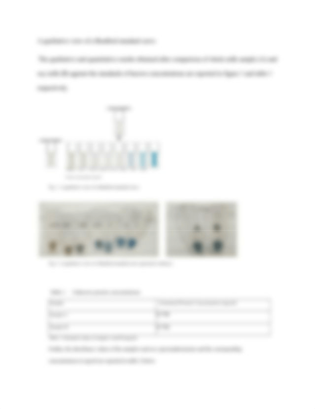 Bradford assay Lab Report 1.docx_dtszbkkez35_page3