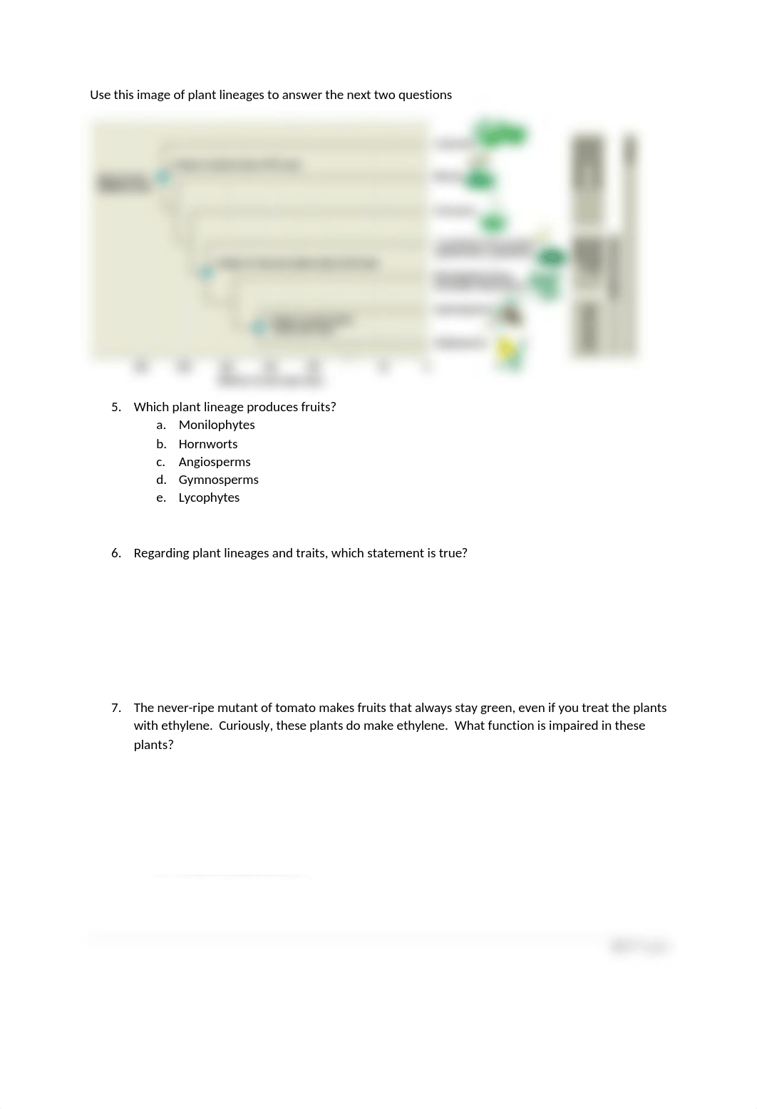 Exam 2 Plant Phys spring 2022.docx_dttm8626mtd_page2