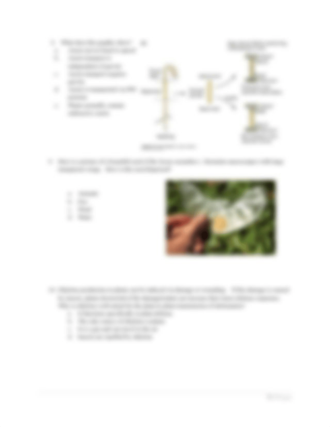 Exam 2 Plant Phys spring 2022.docx_dttm8626mtd_page3