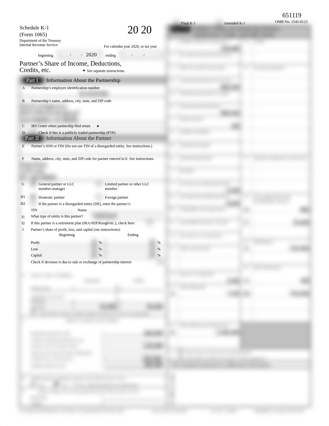 2020 Form 1065 Schedule K-1, Ryan.pdf_dtts28homcs_page1