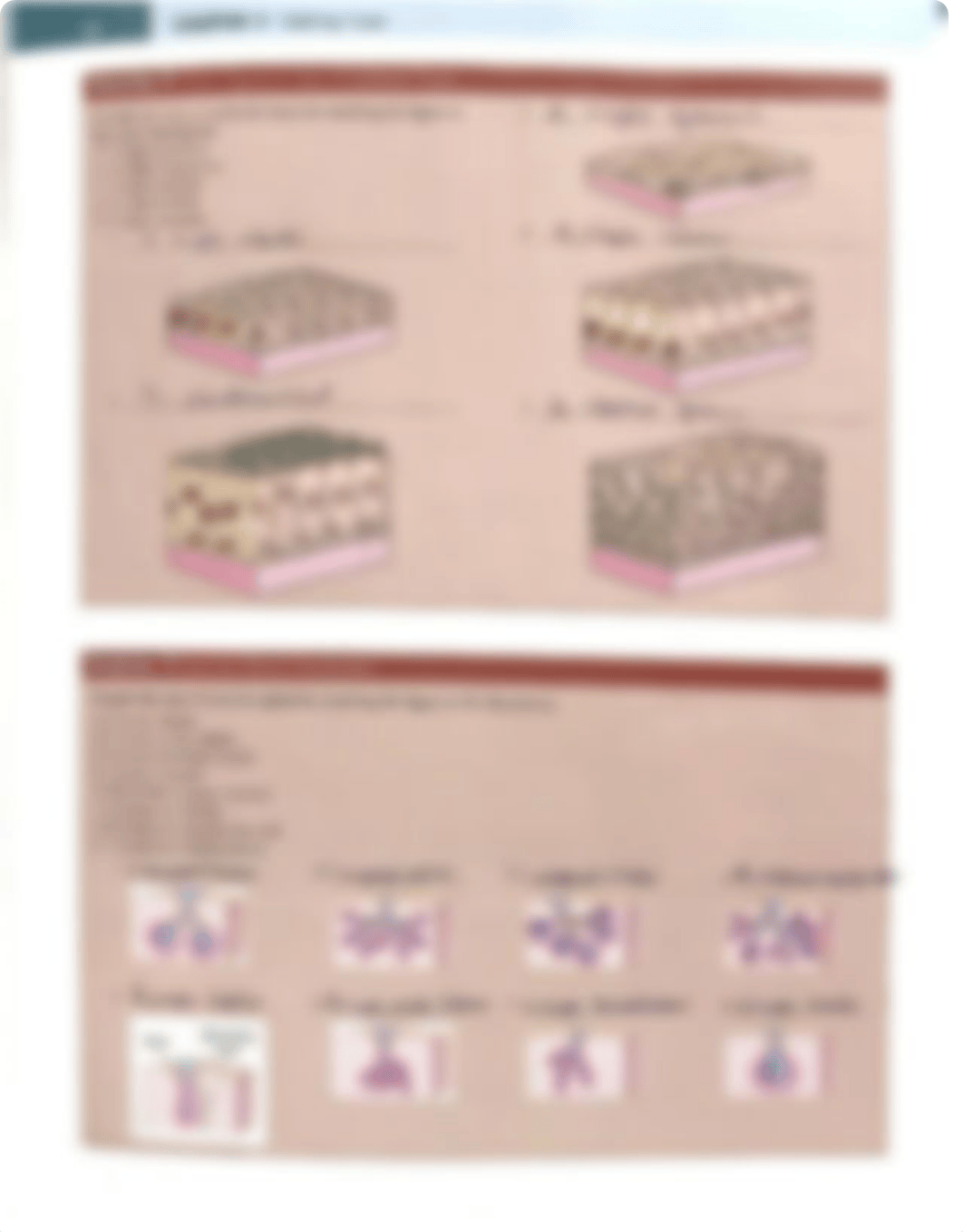 Lab manual assignment chap 4 exploring tissues.pdf_dtttqz3l5kq_page3