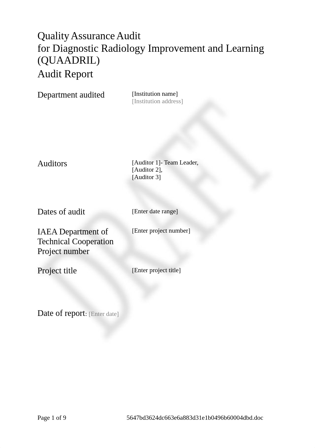 Audit_report_template.doc_dttxqif0ep9_page1